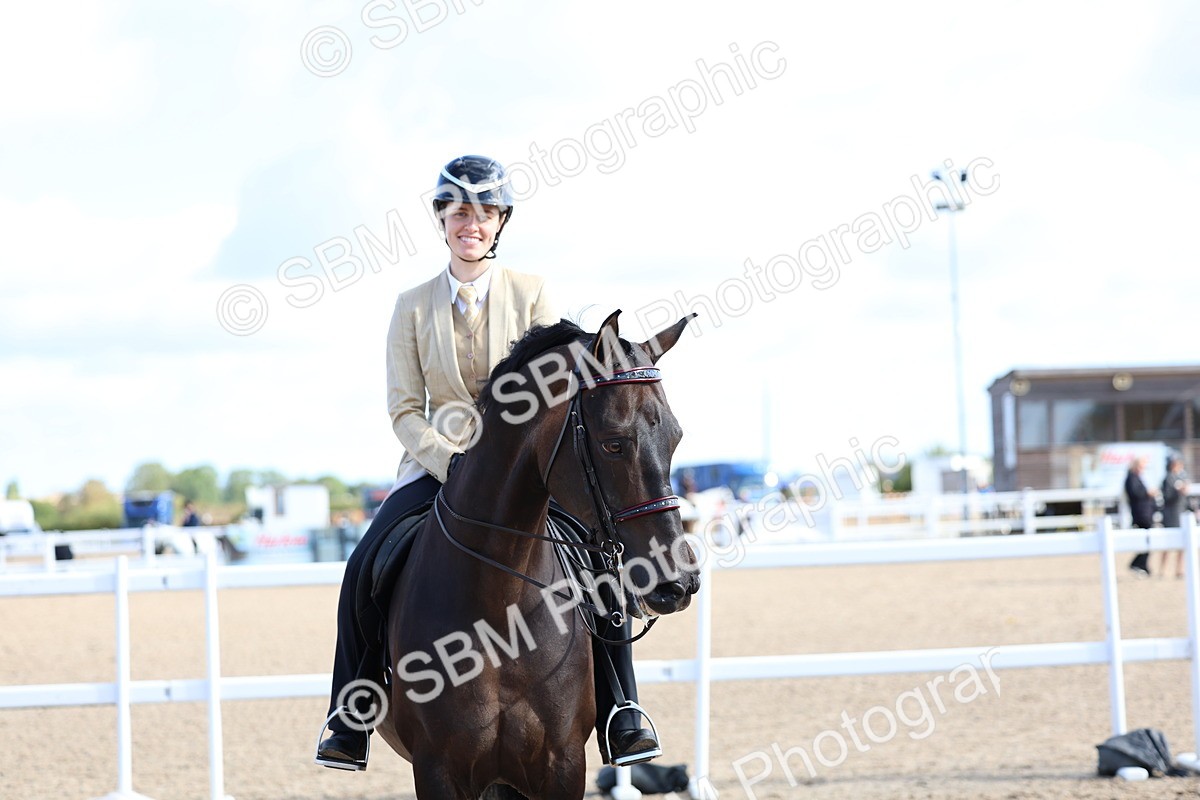SBM_09141 - Class 303 - Ridden Pure Bred Horse Pony