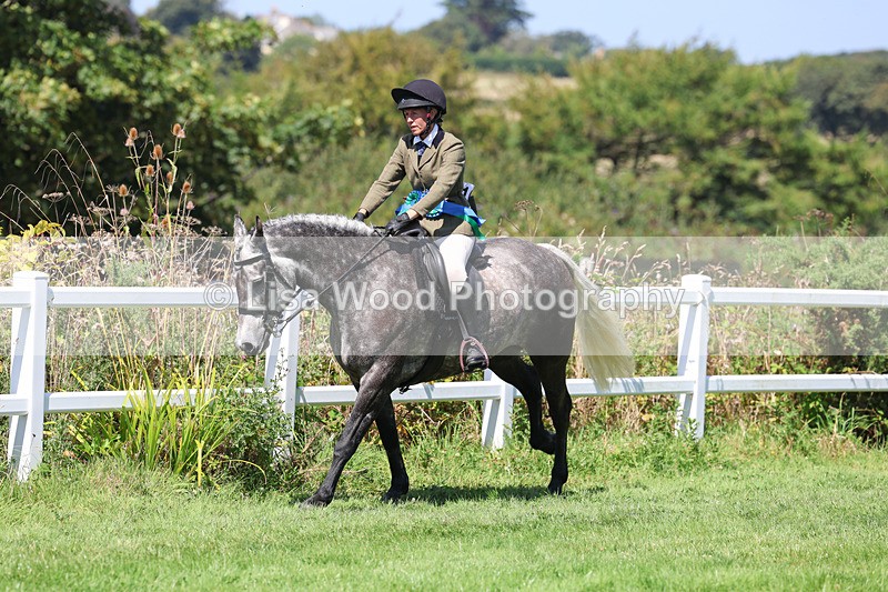 3E7A9240 - Working Hunter Championship