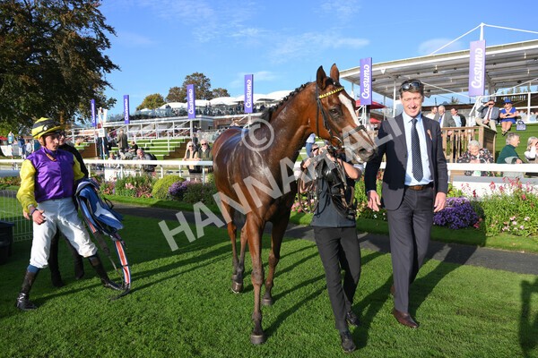 yr08102021r5-29 - Race 5 4.20pm Copper Knight - Winning Most Horse At York Handicap
