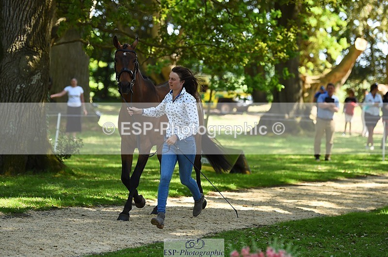 230524-153048-00316 - 373-BENGAL_LORE-Pippa_Taylor-WEDTrotUp+DR