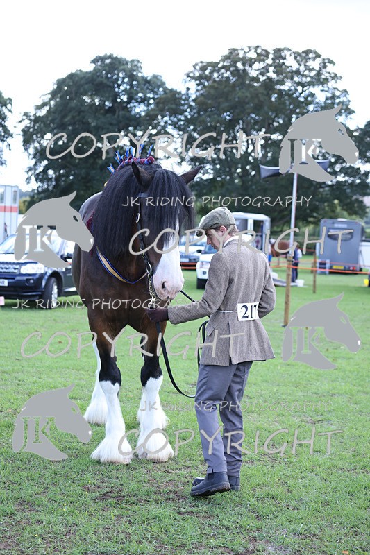 APP_3430 - Class 6 Young Handlers