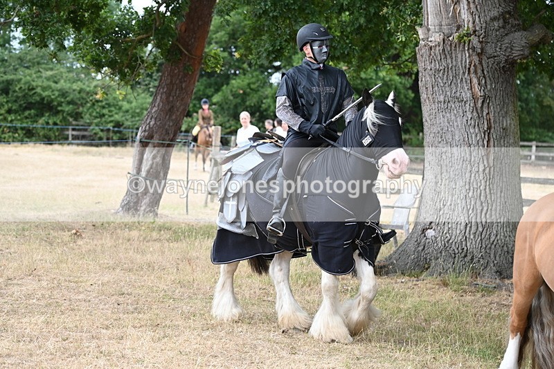 WJ6_8904 - Class 11 Fancy Dress