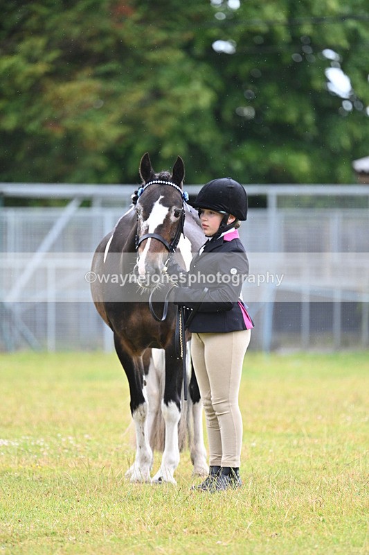 WJ7_5882 - Class 4 Prettiest Mare in Hand