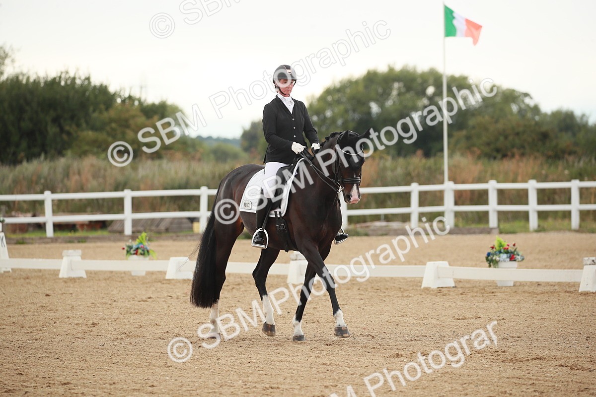 SBM_005300 - Class 4 - Medium 6 - 14.40-15.28