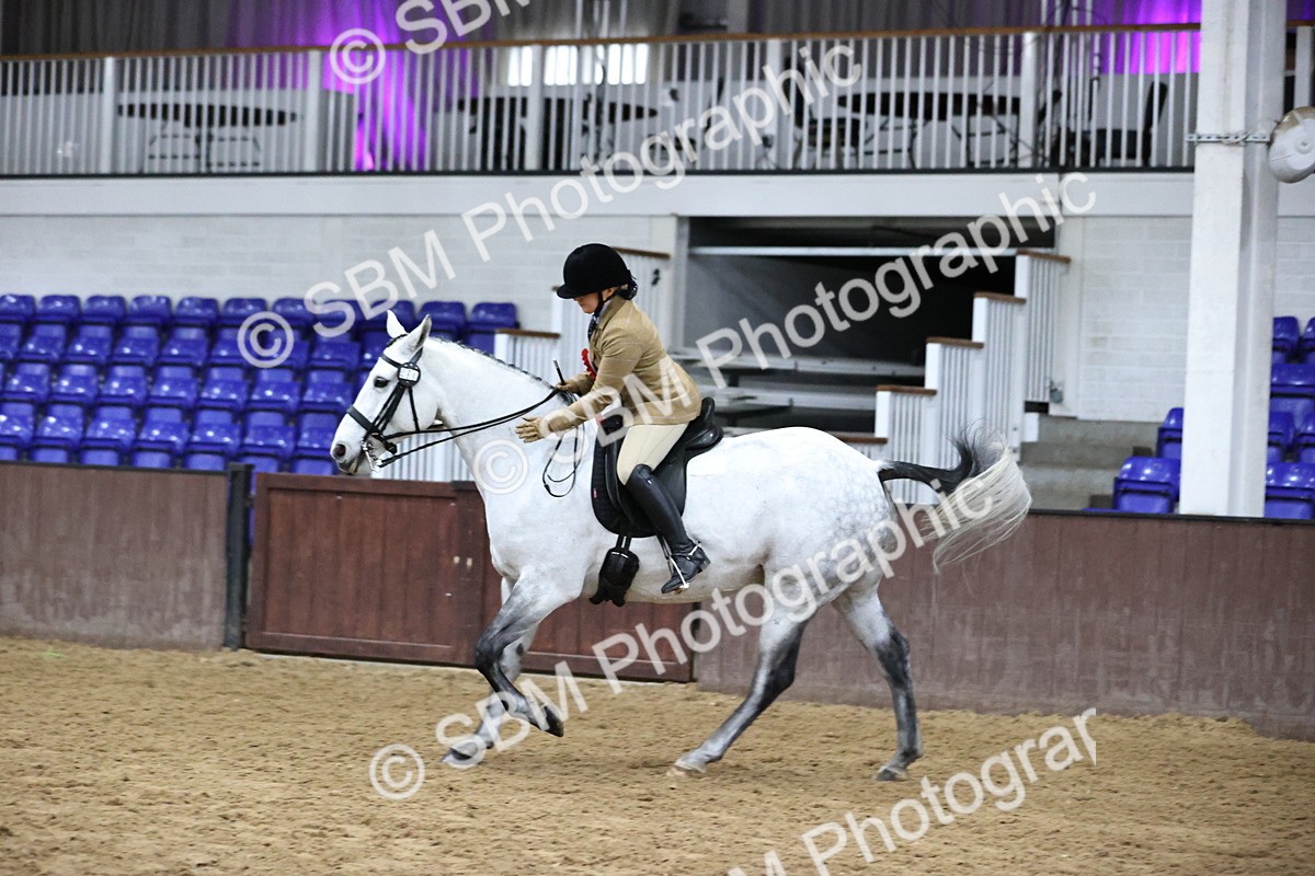 SBM_6408 - Class 45-42 - Ridden Irish Breeds-Ridden Cob