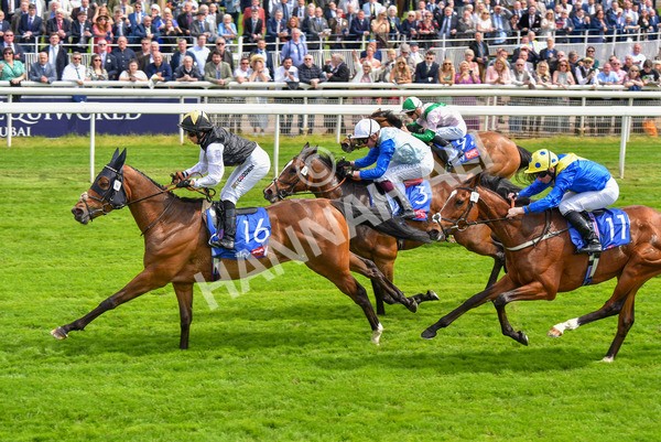 170523-Race 1-Scampi-8582 - Race 1 1.50pm Sky Bet Race To The Ebor Jorvik Handicap