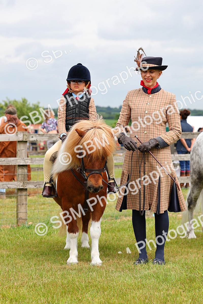 SBM_08307 - Class 42-43 - LIHS BSPS Heritage Working Sports Pony