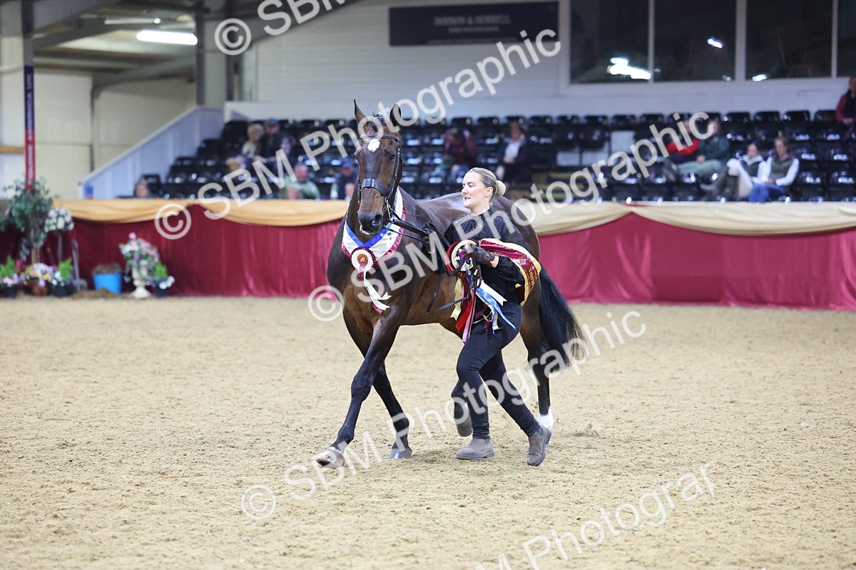 0B8A4565 - Class P Veteran Champ