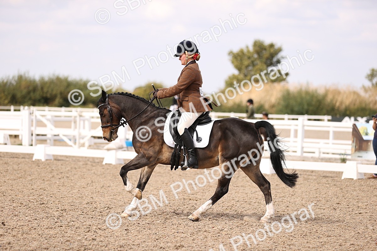 SBM_06071 - Class 37 Novice 5