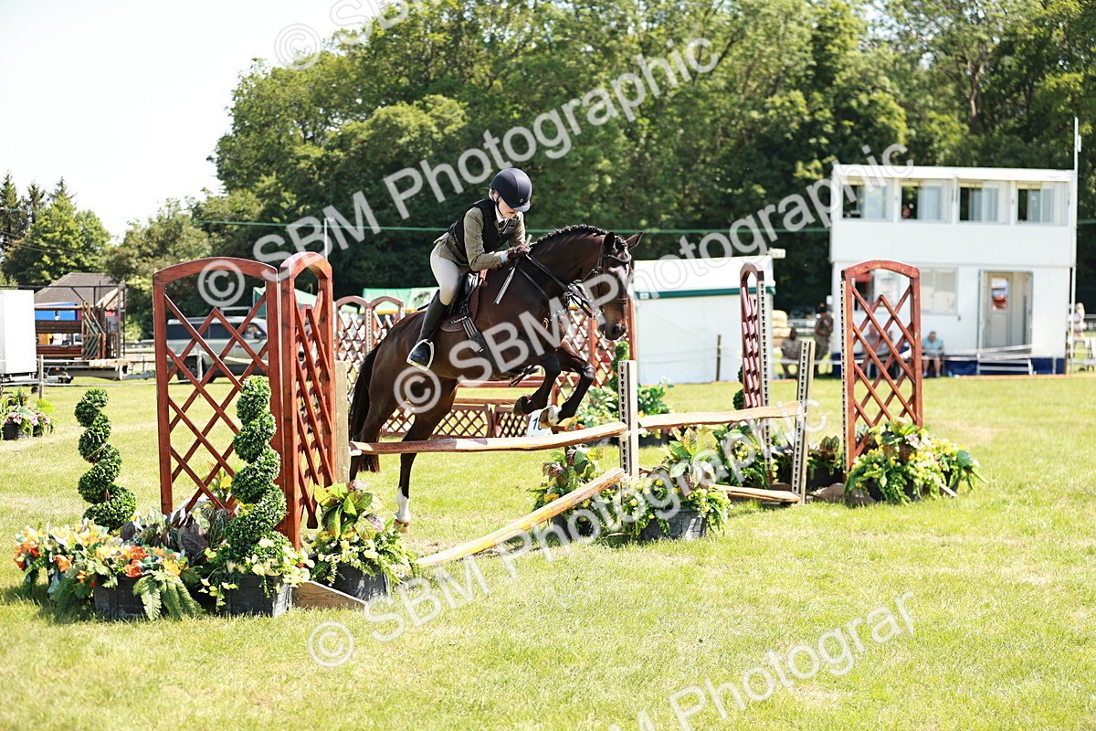 SBM_17583 - Class 112-113 - BSPS LIHS Working Sports Pony