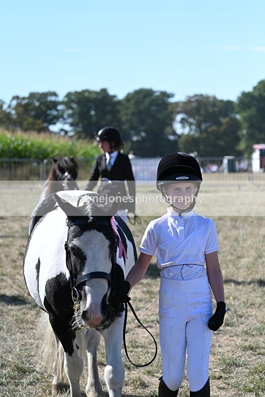 WJ7_1972 - Class 43 Best Six Legs (In hand)
