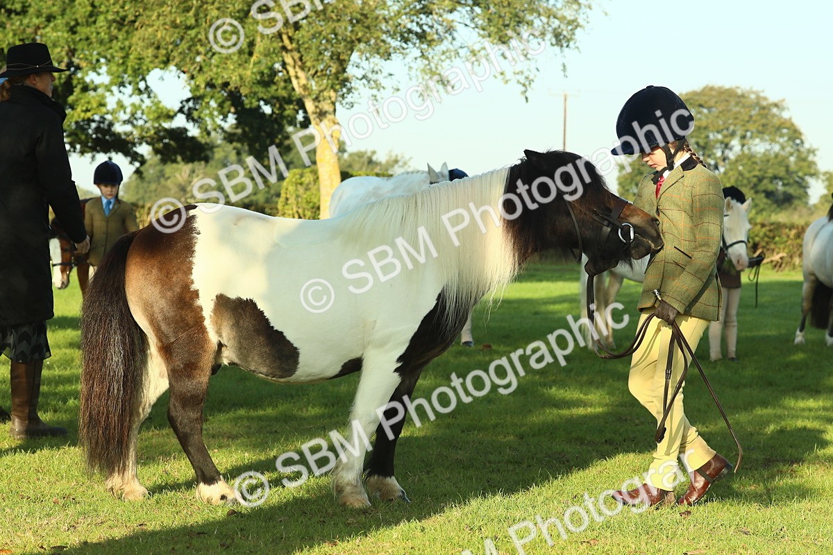 SBM_57433 - S37 - Starters In Hand Showing