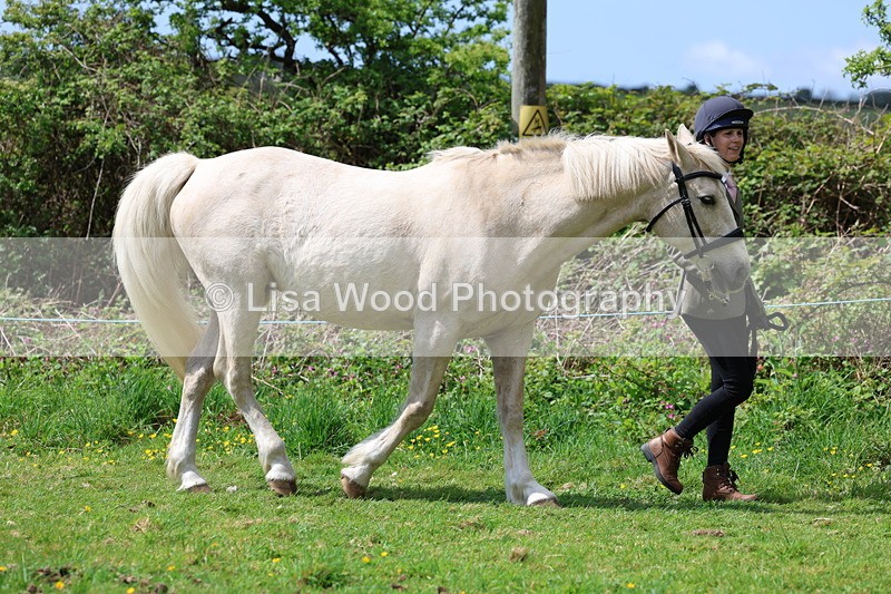 3E7A0444 - Class 20: Sports Horse