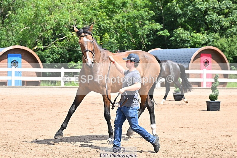 240718A-105243-01064 - Trot Up 11am to 12pm