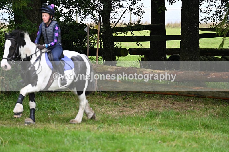 WJ7_8209 - Time 14:11 to 14:30