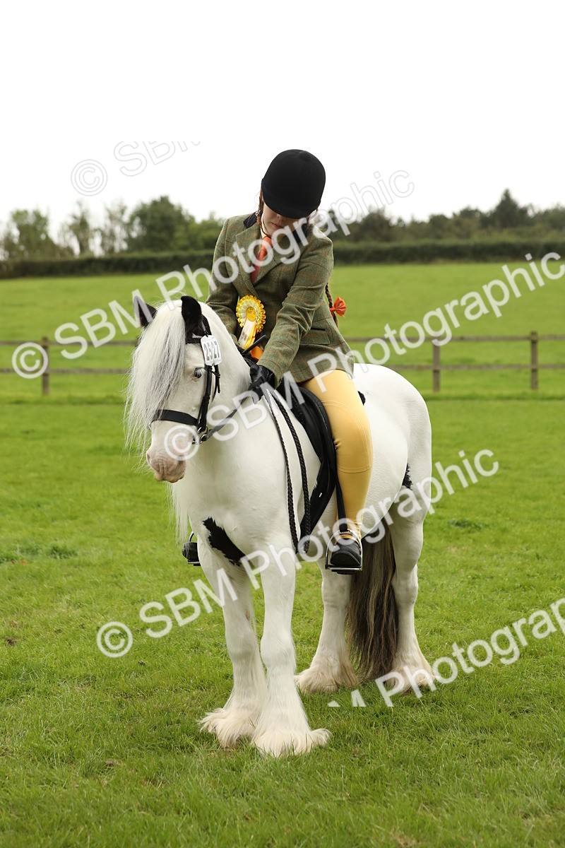 SBM_71444 - S41 - Ridden Equitation (Best Rider)