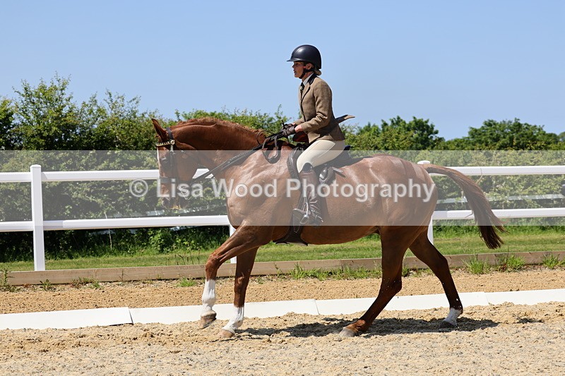 1X9A1898 - Class 12: Ridden Riding Horse/Hack