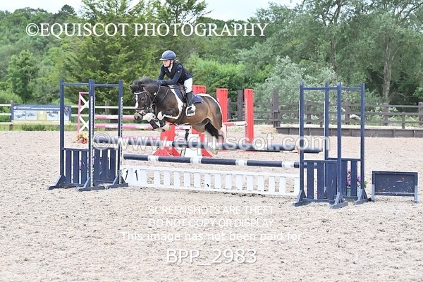 BPP_2983 - CLASS 7 Pony Discovery / 90cm Open