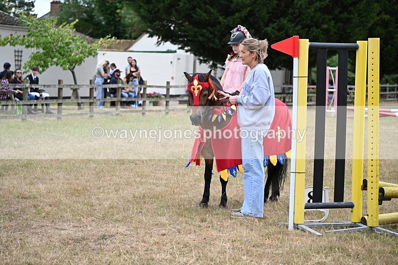 WJ6_9133 - Class 11 Fancy Dress