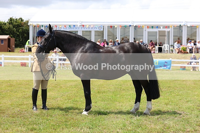 3E7A2167 - Class 10: Open Cob