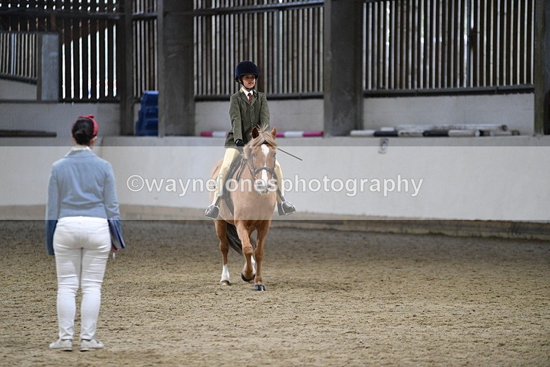 WJ5_8383 - Class 14 Novice Ridden/Rider