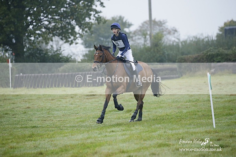 WWHT 171021 0015 - Novice Restricted (0.80m)  17/10/21