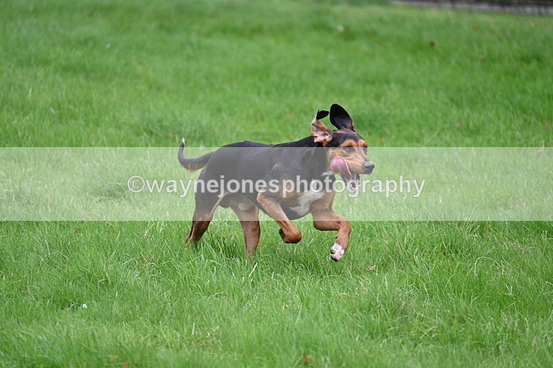 WJ7_4324 - Camera 1 Line 3