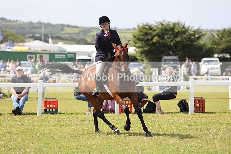 JPP_1367 - Class 17: Cornish Combination Open