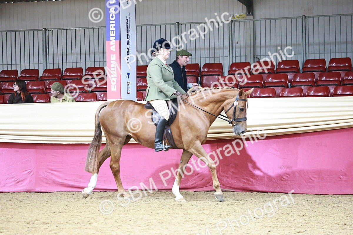 SBM_03108 - Class 5A - Area Ridden Veteran