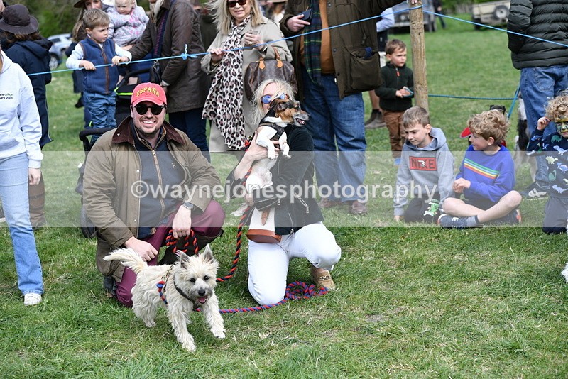 WJ5_0539 - Class 7 Best Terrier