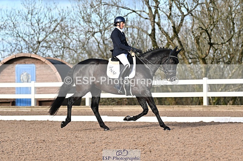 241214-114345-01431 - 151-Elder.Klatzko-Dynasty.Hit