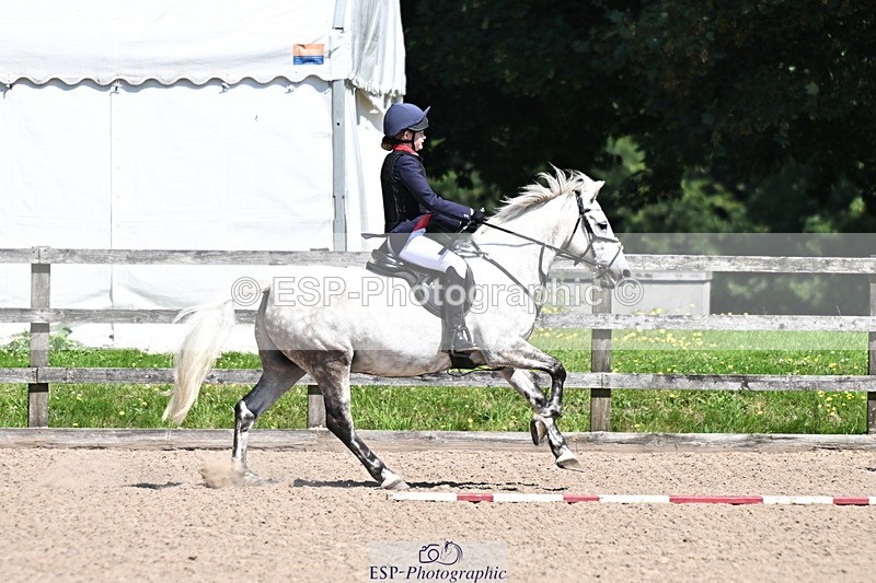240729B-121616-02625 - Showjumping Competition