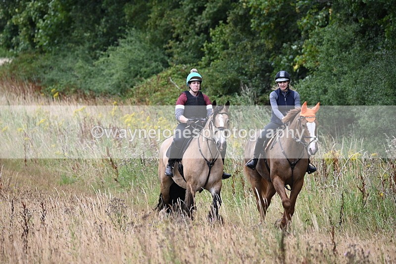 WJ6_2465 - Group 7