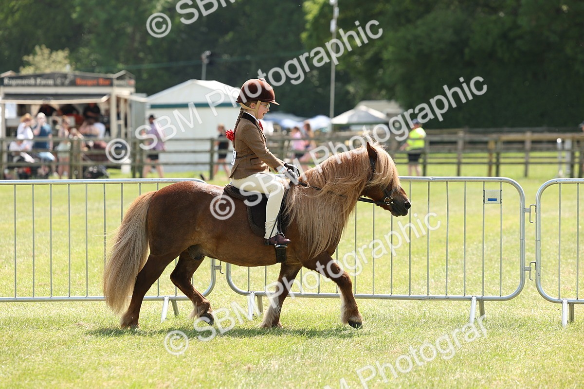 SBM_05321 - Class 24-25 - Mountain & Moorland In Hand Lead Rein and First Ridden