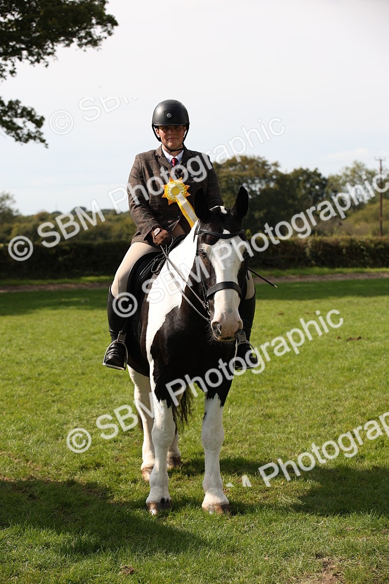 SBM_70156 - S65 - Piebald & Skewbald Horse Ridden