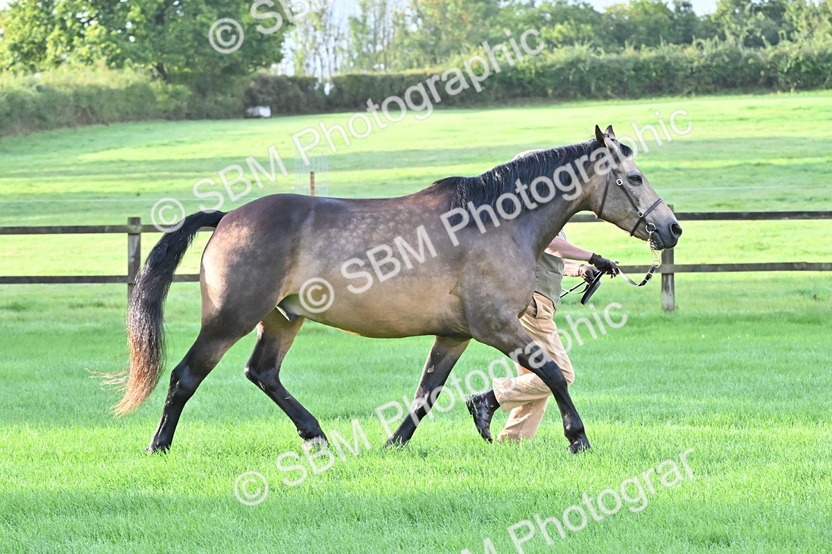 SBM_32569 - S15 - Top Turnout In Hand