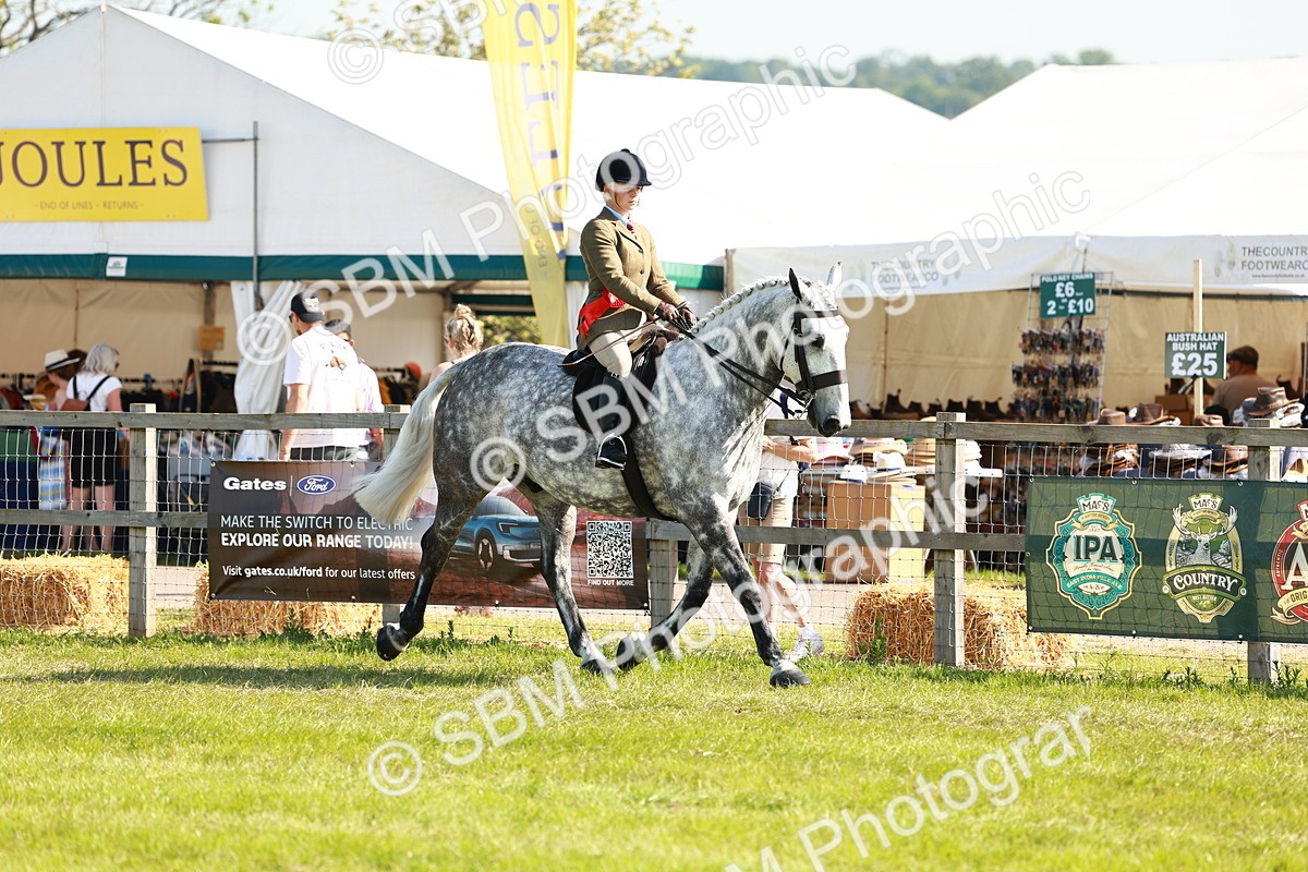 SBM_11877 - Class 66-69 - RIHS Ridden Hunters Inc Small Hunter