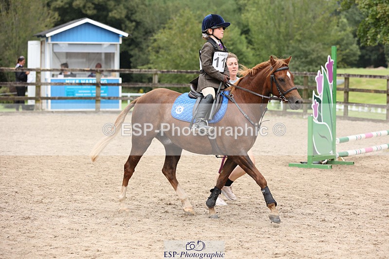 240822X-123218-06661 - 40cm LR R1 12.20 to 14.10