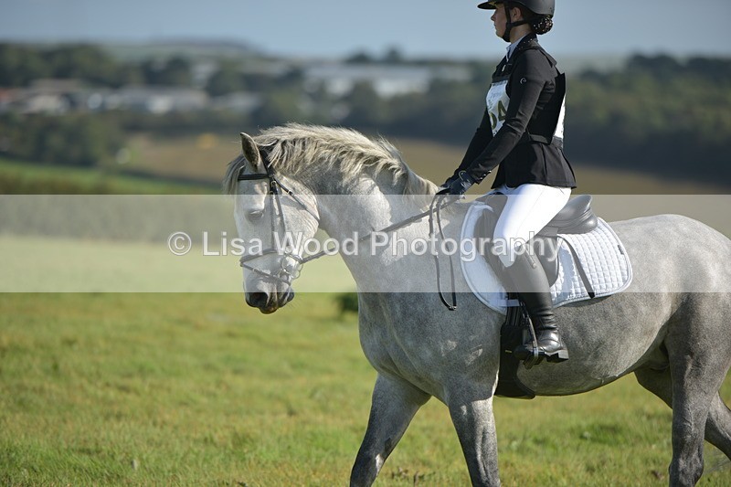 RAY_7373 - Class 2B: Trekenning Open: Dressage