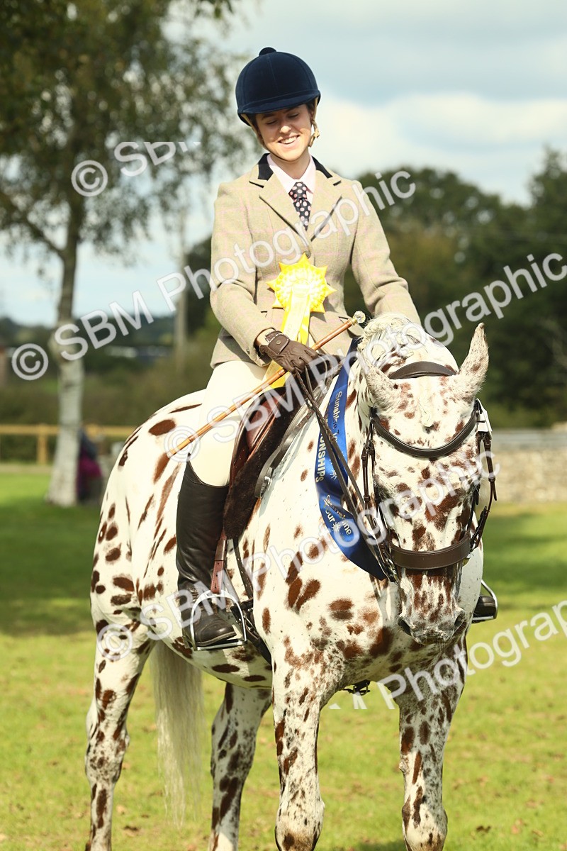 SBM_62528 - S62 - Foreign Breeds Ridden