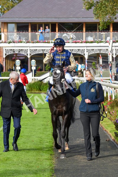 141023-Race 1-Purosangue-0587 - Race 1 1.15pm Coral Rockingham Stakes