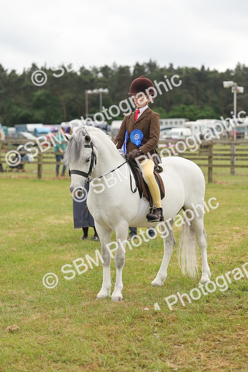 SBM_06958 - Class 74-75 - M&M Lead Rein and First Ridden Pony