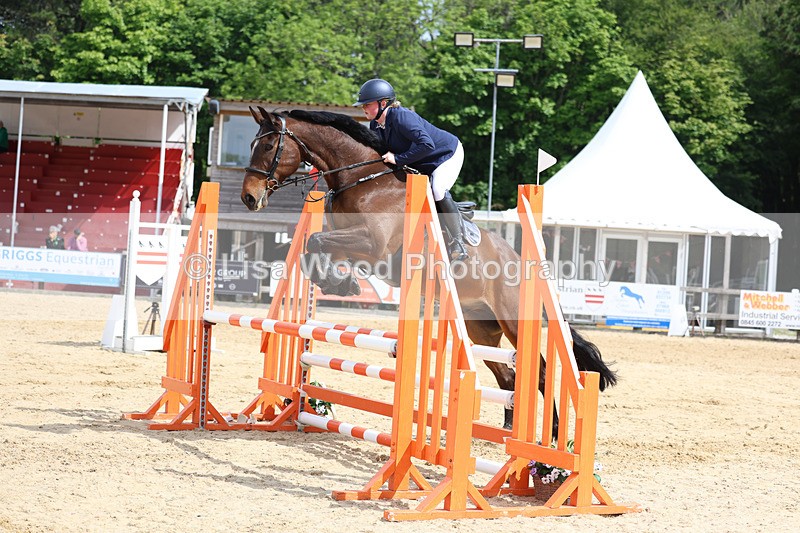 3E7A8707 - Class 4: Senior British Novice/90cm open