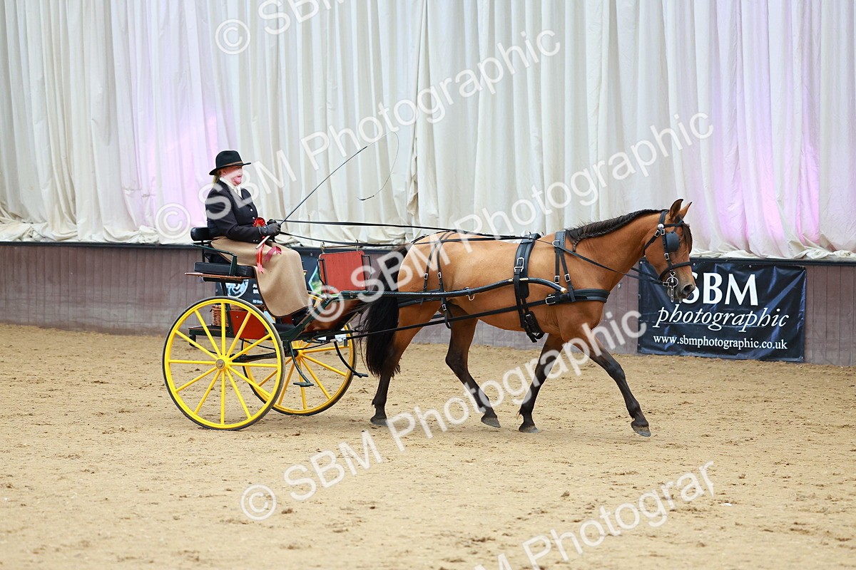 SBM_001069 - Class 15 - Open Showmans Class