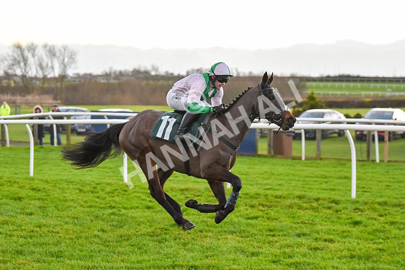 191223-Race 7-Wilful-9607 - Race 7