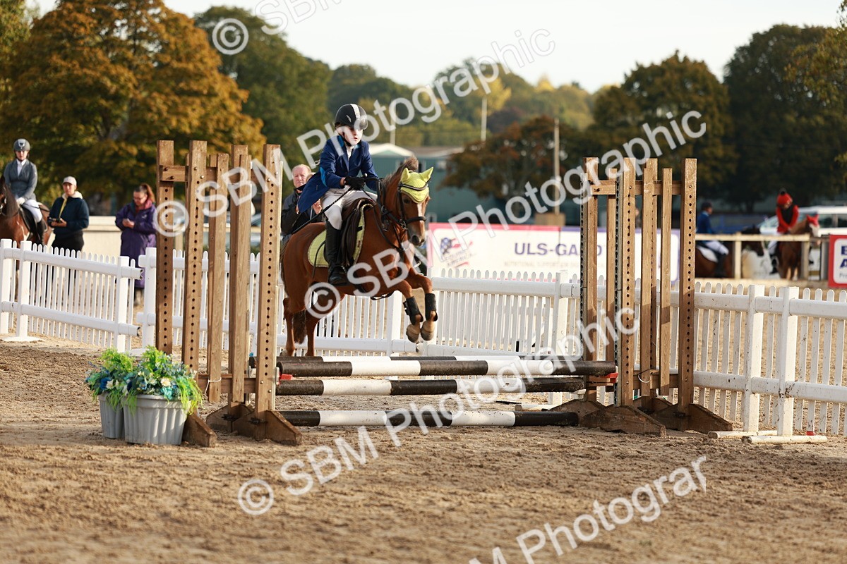 SBM_55441 - J11 - Junior Pony 50cm Championship