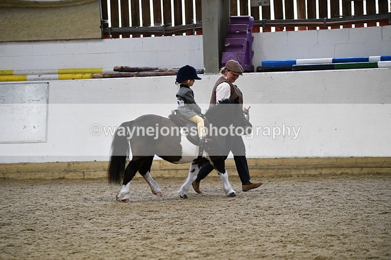 WJ5_6646 - Class 10 Childs Pony