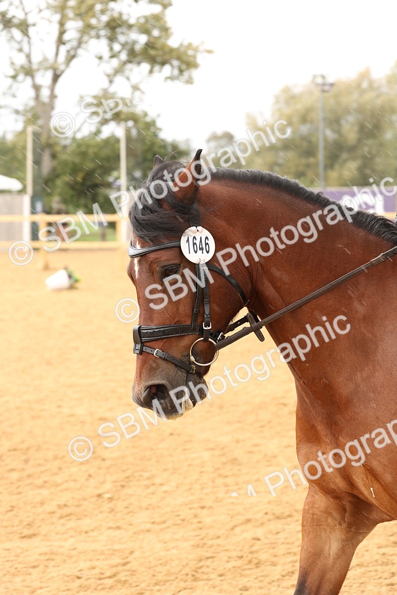 SBM_09129 - D30 - Small Tour PYO Open