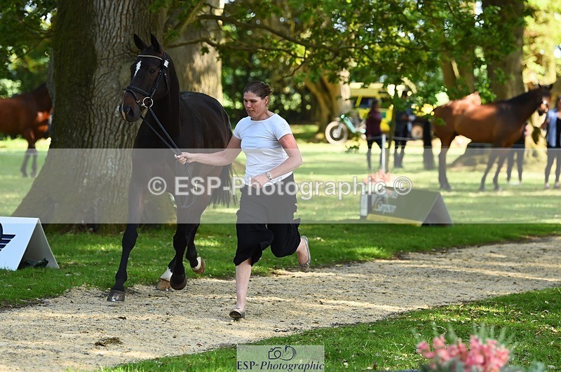 230524-164554-01072 - 114-DARK_SIDE_OF_THE_MOON_LS-Bundy_Philpott-WEDTrotUp+DR
