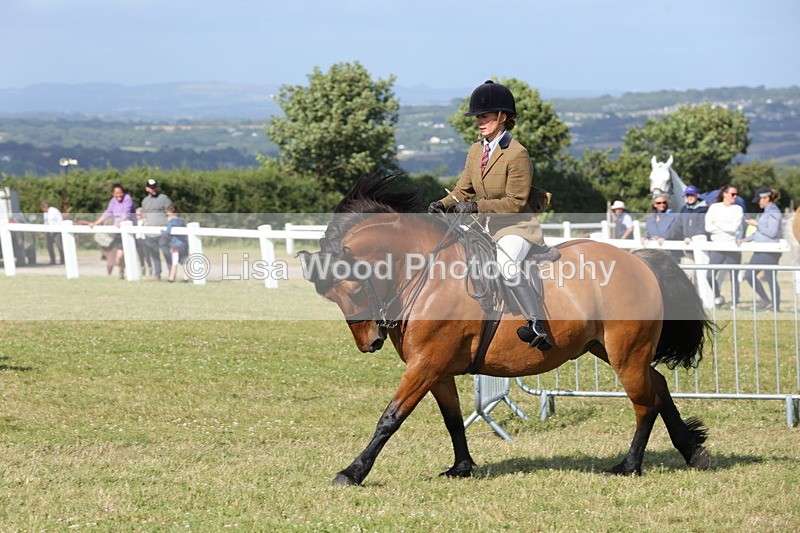1X9A6002 - Class 42: NPS Dales, Fell, Highland